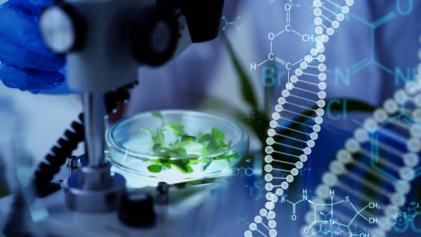Ethics of Genetic Engineering