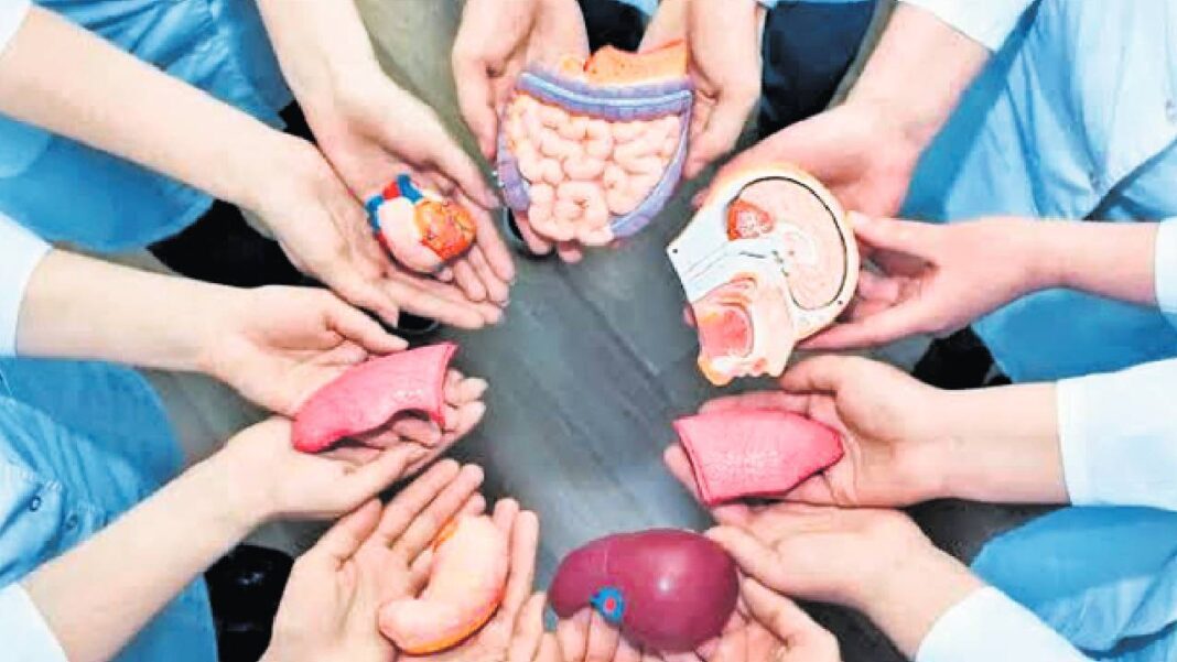 The Ethics of Organ Donation